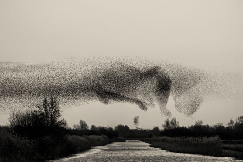 Søren Solkær interview about "Starling" monograph