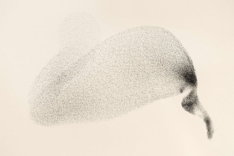 Søren Solkær interview about "Starling" monograph