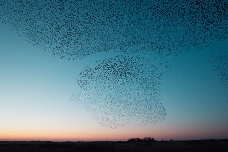 Søren Solkær interview about "Starling" monograph