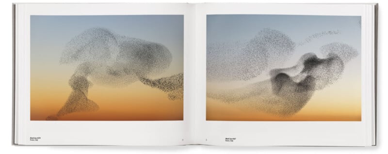 Søren Solkær interview about "Starling" monograph