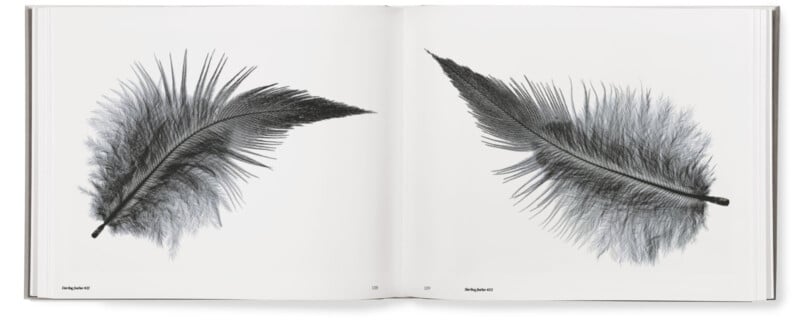 Søren Solkær interview about "Starling" monograph