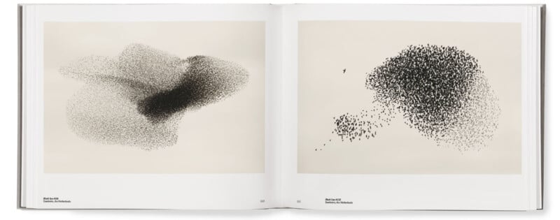 Søren Solkær interview about "Starling" monograph