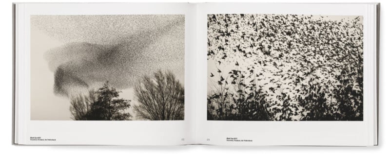 Søren Solkær interview about "Starling" monograph