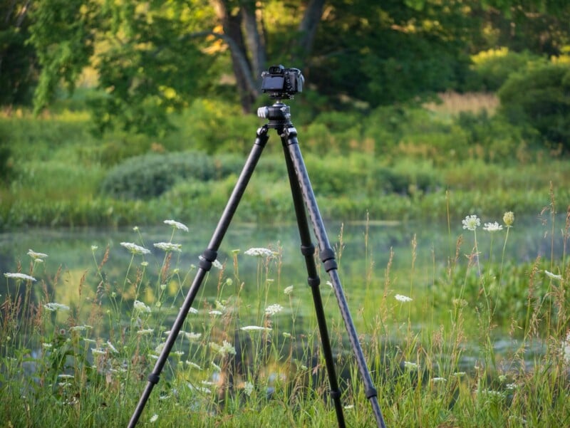 Best Tripod Guide 